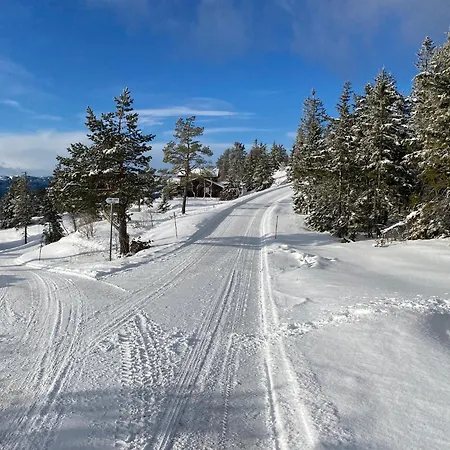Nydelig ,kyrkjebygdheia, 800 M Oh Casa vacanze *